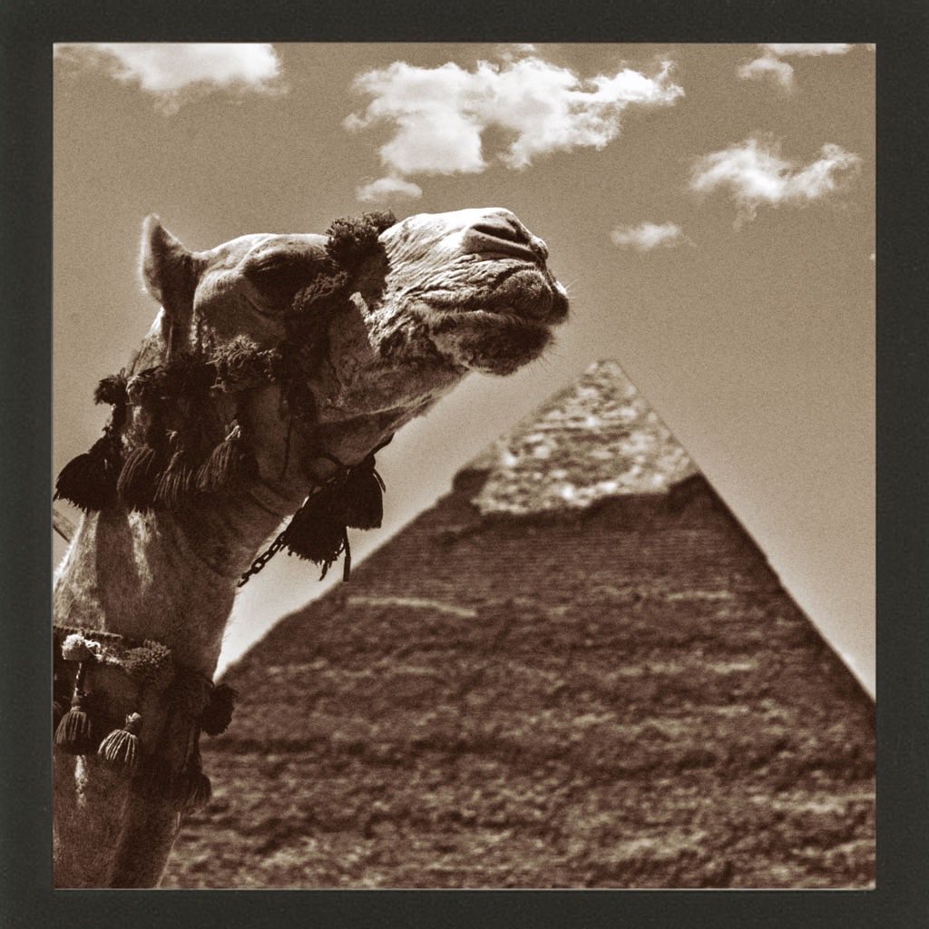 Hipstamatic Gear - The Sepia SnapPak